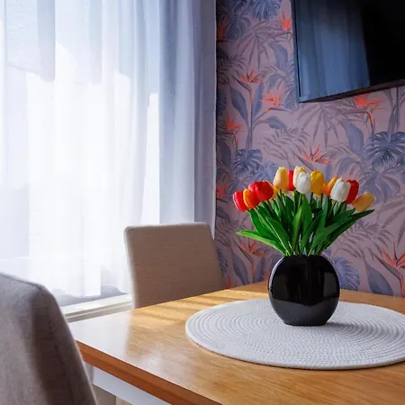 Nina Apartment