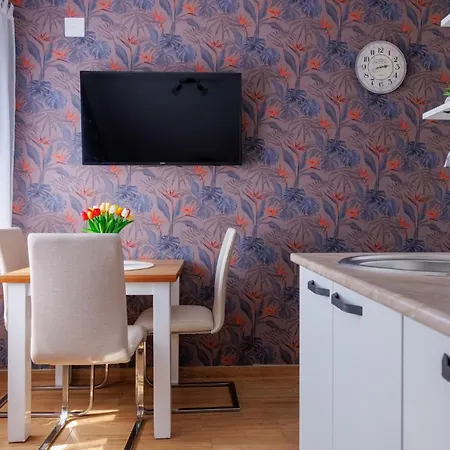 Apartment Nina Golubac