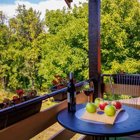 Nina Apartment Golubac